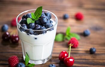 Vegan Soya Yoghurt Pot with Fresh Blueberries  - Individual 