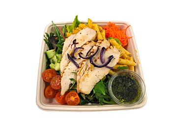 Chicken with Pasta Salad -  Bento Box