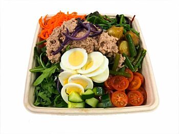 And Meetings Fish Bento Box - Tuna Nicoise Salad