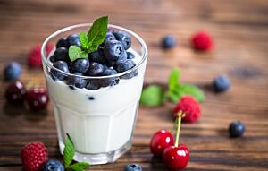Vegan Soya Yoghurt Pot with Fresh Blueberries  - Individual 