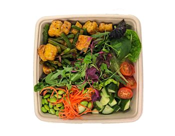 Vegan Oriental Bento Box - Tofu, Edamame & Green Beans