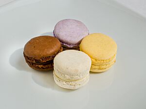 Assorted Mini Macaroons