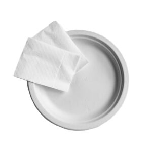 Compostable Paper Plates & Serviettes