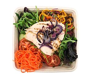 Asian Spiced Chicken Noodle Salad - Bento Box