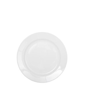 Medium China Plate