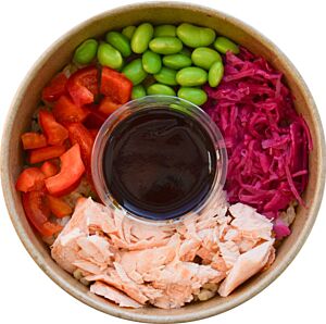 Teriyaki Salmon & Tempura Rice - Individual