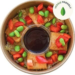 Fried Tofu & Tempura Rice - Individual